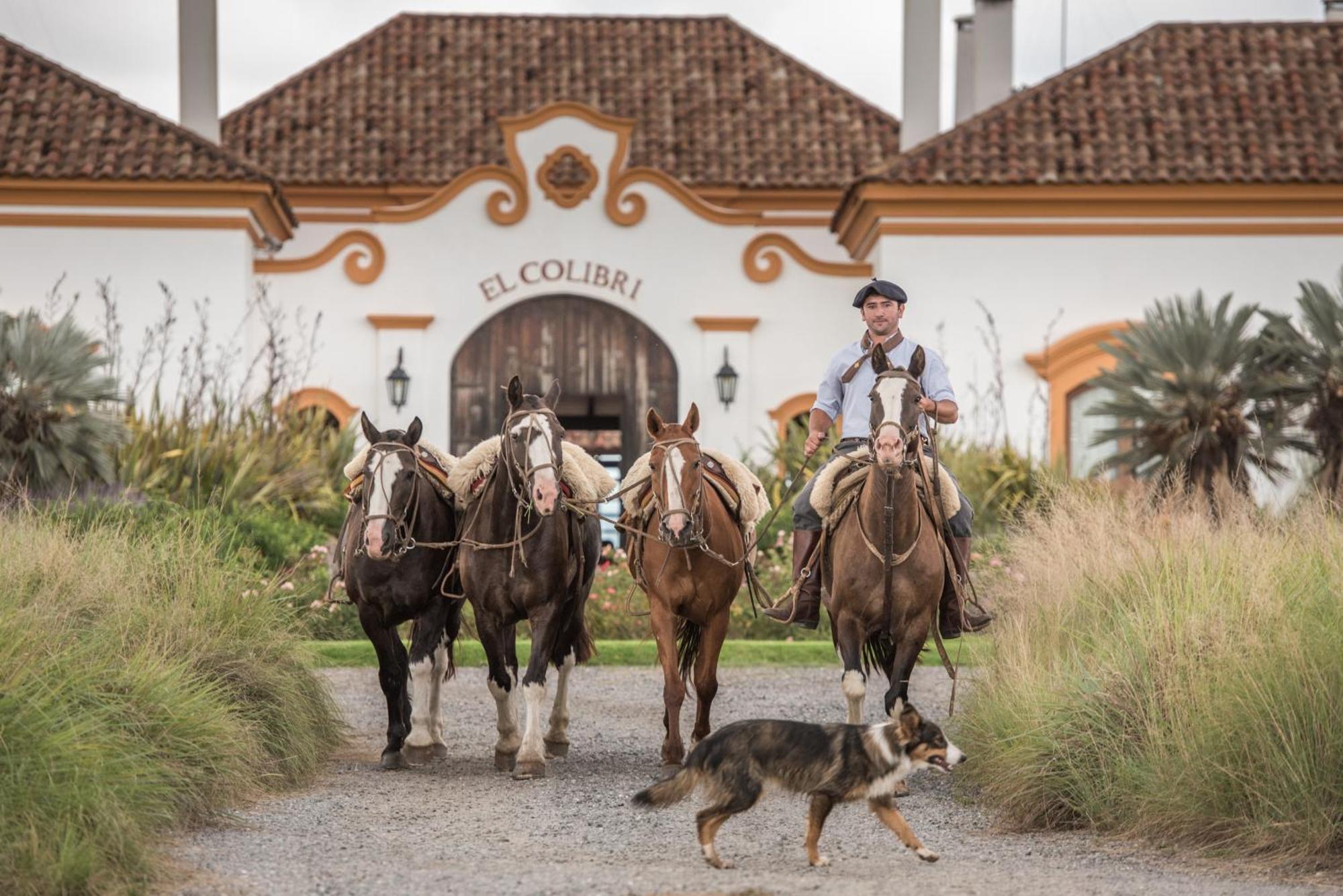 ホテル El Colibri - Relais & Chateaux Santa Catalina  エクステリア 写真